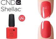 Shellac,   долговременное покрытие. Недорого